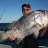 NICE DHUIE OFF MINDARIE